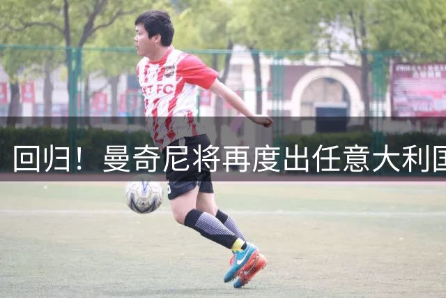 回归！曼奇尼将再度出任意大利国家队主教练