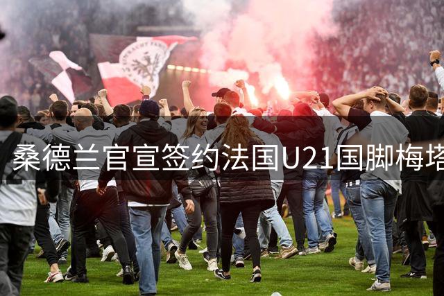 桑德兰官宣签约法国U21国脚梅塔利 新援将穿6号战袍